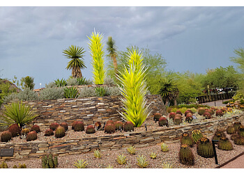 Desert Botanical Garden In Phoenix