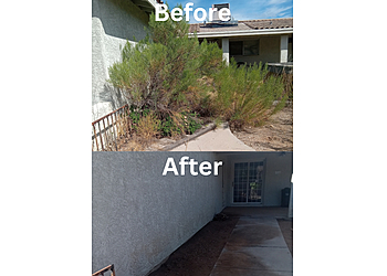 Tucson Lawn Care Services Desert Garden Services