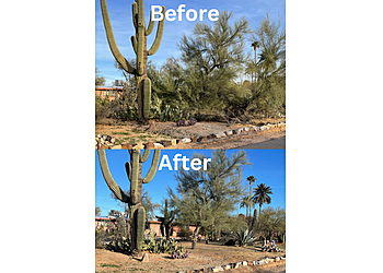 Desert Garden Services Tucson Lawn Care Services image 1