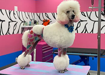Columbus Pet Grooming Designer Paws Salon