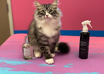 Columbus Pet Grooming Designer Paws Salon