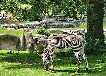 Detroit Places To See Detroit Zoo