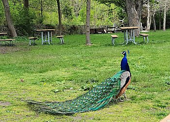 Detroit Places To See Detroit Zoo