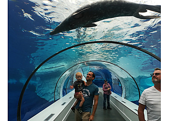 Warren Places To See Detroit Zoo