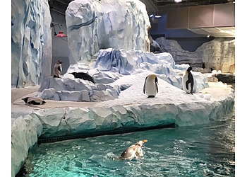 Warren Places To See Detroit Zoo