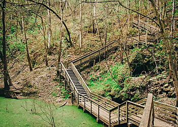 Gainesville Hiking Trails Devil's Millhopper Geological State Park