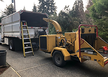 Bellevue Tree Services Devoted Tree Solutions