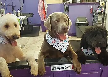 Boston Pet Grooming Dewberry Dogs & Cats