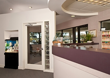 St Petersburg Dentists Dewey Bracy, DMD - ST. PETE SMILES