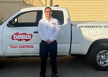 San Bernardino Pest Control Companies Dewey Pest Control