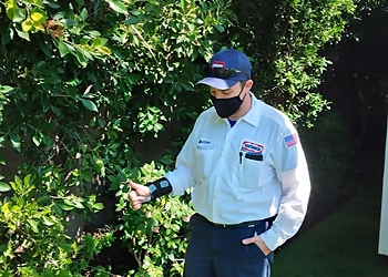 Inglewood Pest Control Companies Dewey Pest & Termite Control Windsor Hills