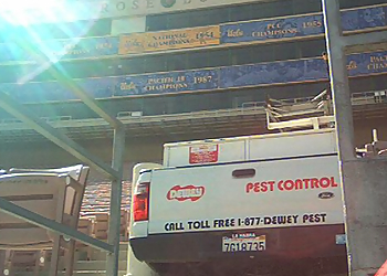 Pasadena Pest Control Companies Dewey Services, Inc.