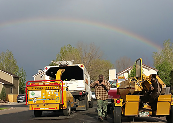Fort Collins Tree Services Diamond Tree Company