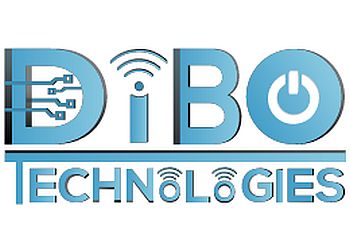 Dibo Technologies Newark It Services