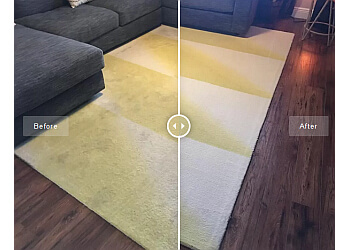 Coral Springs Carpet Cleaners Dieter's Carpet & Tile Cleaning