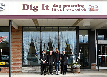 Dig It Dog Grooming Roseville Pet Grooming image 1