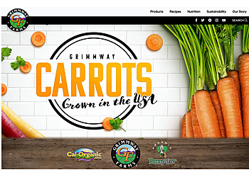 Clovis Web Designers Digital Attic