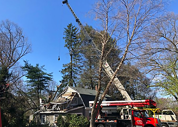 Worcester Tree Services Dillon Tree Service