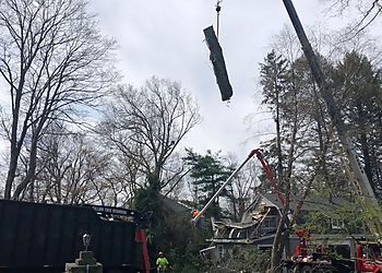 Worcester Tree Services Dillon Tree Service