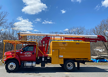 Dillon Tree Service Worcester Tree Services image 1
