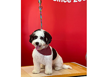 Chandler Pet Grooming Dippity Do Dog