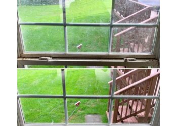 St Petersburg Window Cleaners Direct Window Cleaning