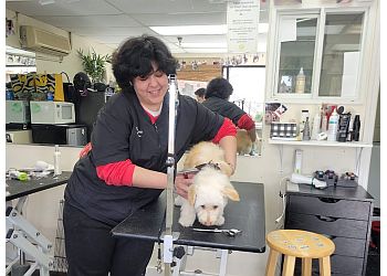Dirty Dawgs Grooming - Concord, CA Pet Grooming - Service Highlights