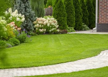 Dirty Deeds Landscaping Joliet Lawn Care Services