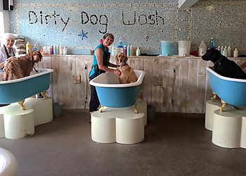 Huntington Beach Pet Grooming Dirty Dog Wash