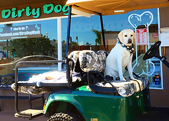 Dirty Dog Wash Huntington Beach Pet Grooming image 1