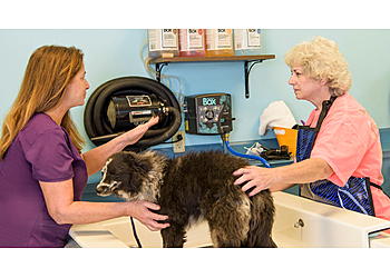 Raleigh Pet Grooming Dirty Dogs Spa