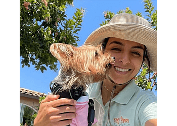 Dirty Paws Pet Sitting & Dog Walking San Jose Dog Walkers