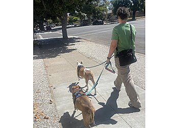 San Jose Dog Walkers Dirty Paws Pet Sitting and Dog Walking LLC