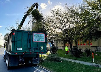 New Orleans Tree Services Discount One Tree Cutting