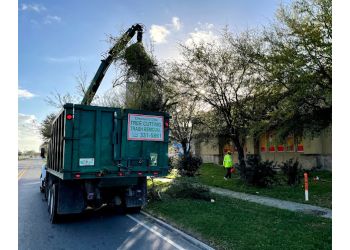 Discount One Tree Cutting New Orleans Tree Services