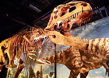 Charlotte Landmarks Discovery Place