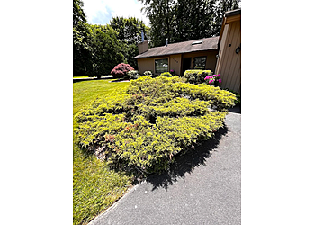 Syracuse Landscaping Companies Distinguished Landscapes