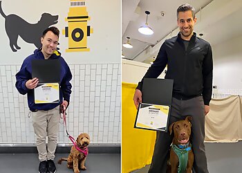 Washington Dog Training District Dogs Enrichment Facility