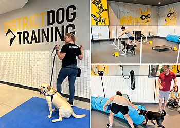 Washington Dog Training District Dogs Enrichment Facility