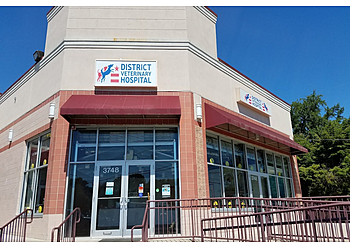 District Veterinary Hospital  Washington Veterinary Clinics image 1