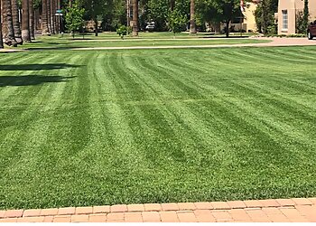 Phoenix Landscaping Companies Divine Design Landscaping