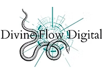 Divine Flow Digital Surprise Web Designers image 1