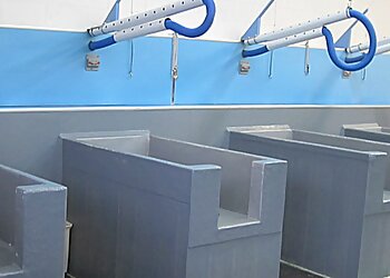 Boise City Pet Grooming Do It Yourself Doggie Detailing