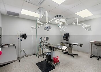 Corpus Christi Veterinary Clinics Doddridge Animal Clinic