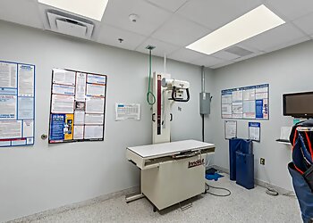 Corpus Christi Veterinary Clinics Doddridge Animal Clinic