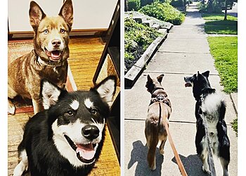 Columbus Dog Walkers DogDays