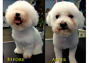 Greensboro Pet Grooming Dog Days