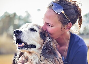 Jacksonville Dog Walkers Dog Days & Cat Naps