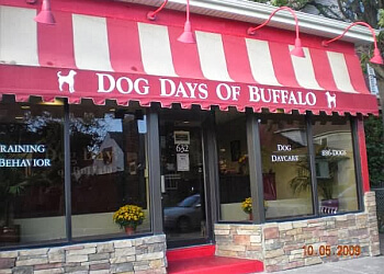 Dog Days of Buffalo Buffalo Pet Grooming