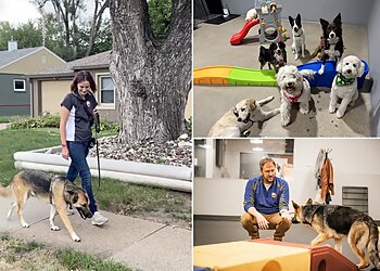 Omaha Dog Training Dog Gone Problems